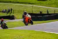 cadwell-no-limits-trackday;cadwell-park;cadwell-park-photographs;cadwell-trackday-photographs;enduro-digital-images;event-digital-images;eventdigitalimages;no-limits-trackdays;peter-wileman-photography;racing-digital-images;trackday-digital-images;trackday-photos